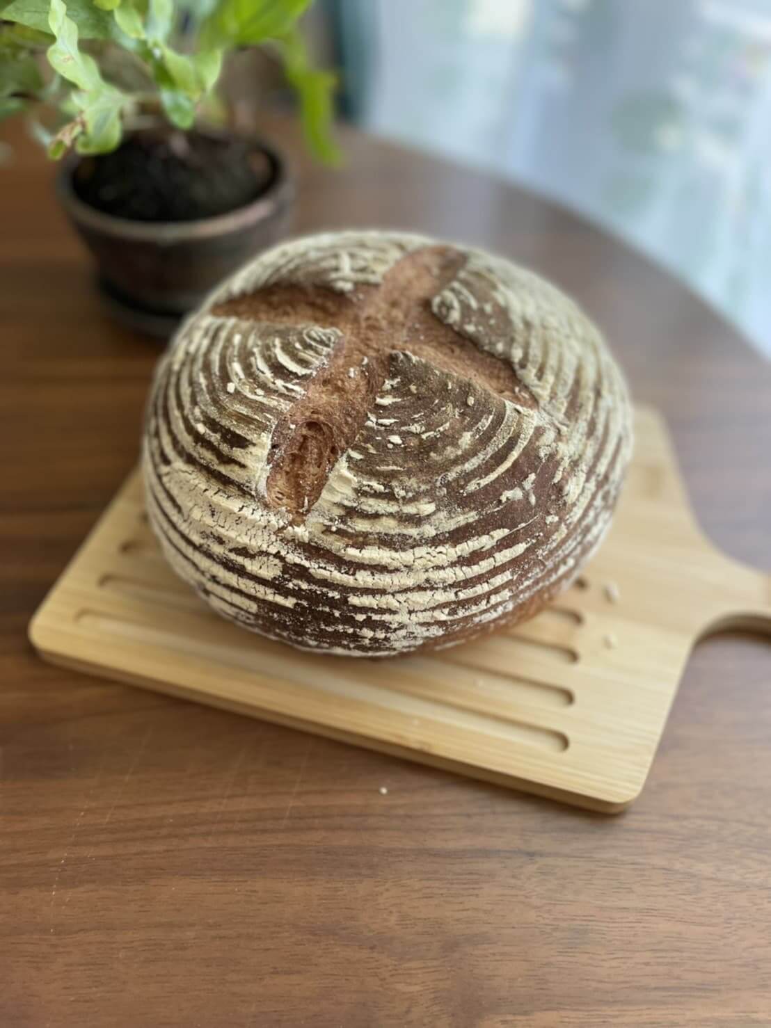大阪の泉佐野panlabo-パン教室のパンラボのパン1